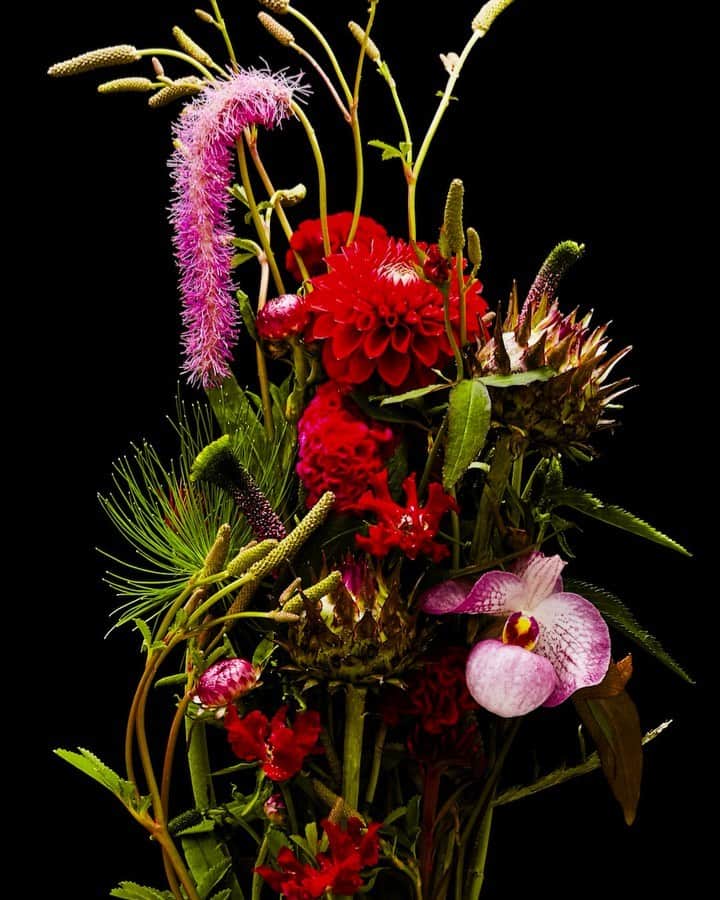 椎木俊介のインスタグラム：「Flowers  #azumamakoto #makotoazuma #shiinokishunsuke #amkk #amkkproject #flowers #flowerart #東信 #東信花樹研究所 #花  #timelapse」
