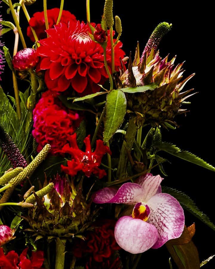 椎木俊介のインスタグラム：「Flowers  #azumamakoto #makotoazuma #shiinokishunsuke #amkk #amkkproject #flowers #flowerart #東信 #東信花樹研究所 #花  #timelapse」