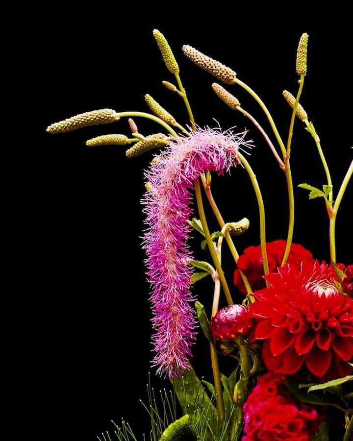 椎木俊介のインスタグラム：「Flowers  #azumamakoto #makotoazuma #shiinokishunsuke #amkk #amkkproject #flowers #flowerart #東信 #東信花樹研究所 #花  #timelapse」