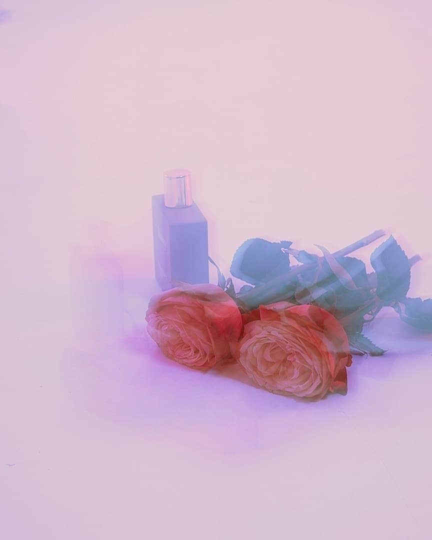 ミラーハリスさんのインスタグラム写真 - (ミラーハリスInstagram)「Juicy, fresh strawberries intertwine with the dark, candied beauty of rose to create a swirling shade of rouge in the deepest hue.  Add some colour to your fragrance wardrobe.  #ColourCollection #Colourintheeveryday #Blousy」7月21日 23時01分 - millerharris