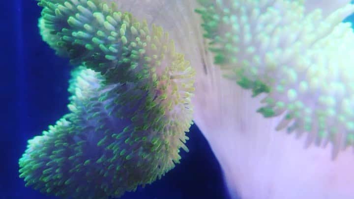 相沢梨紗のインスタグラム