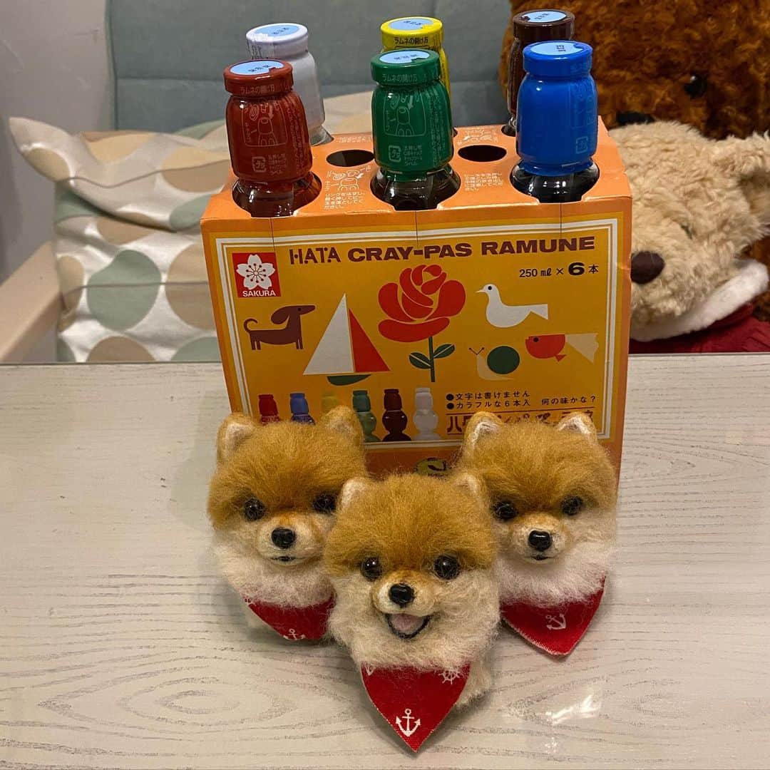 RIO POMEのインスタグラム：「うれしくて 連投〜❤️  あーかわいー😍 (やっぱり親バカ)  #ポメラニアン #pomeranian  #犬 #dog #dogstagram#doglover #愛犬 #わんこ #ポメラニアン大好き #ポメラニアンが世界一可愛い #pom #ぽめらにあん #ポメ#pomeraniansofinstagram  #pomeranianlove #ふわもこ部 #いぬバカ部 #癒しわんこ#instapic#pomstagram #puppy #dogsofinstagram #cute#cutedog #羊毛フェルト」