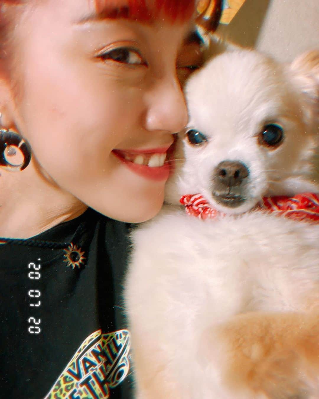 彩南(Ayana)のインスタグラム：「実家のめいちゃん🐶❤️ . 14歳のおばあちゃん🥰❤️ . いつも幸せをありがとう😌💋 長生きしてね😘❤️ .  #beatbox #humanbeatbox  #model #dogstagram  #sk8fashion #dancer #workout  #sexy #japanesegirl #fitnessgirl #skateboard #sk8 #hiphop #sk8girl #femalebeatbox  #femalebeatboxer #コーデ#グラビア#犬のいる暮らし」