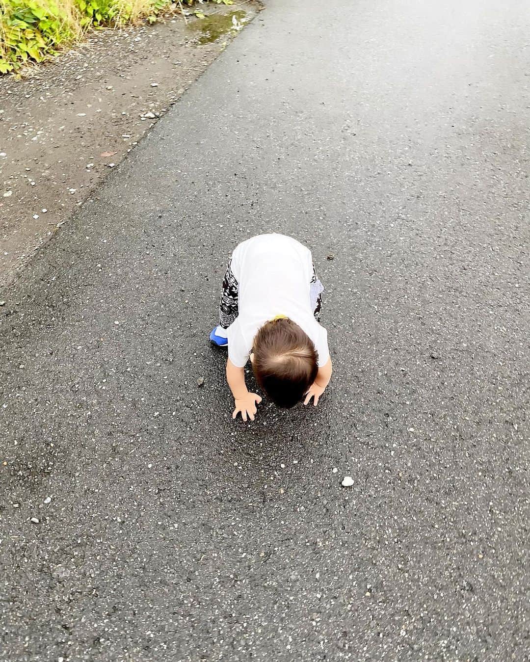 Momoeのインスタグラム：「. .  将来馬跳びをする時の馬になる練習。 . .  #happy #家事 #育児 #family #家族 #boy #smile #男の子 #息子 #code #love #lucky #kids #子供 #thankyou #宝物 #ベビー #fashion #follow #心 #縁 #パパ #ママ #家族写真 #男の子ママ #赤ちゃん写真 #photo #子育て #1歳 #flower」
