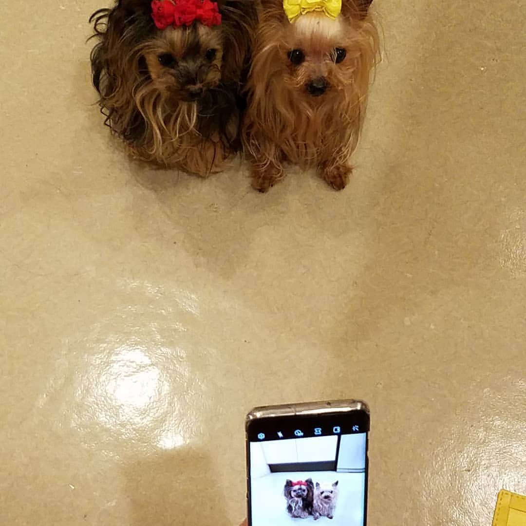 モト冬樹のインスタグラム
