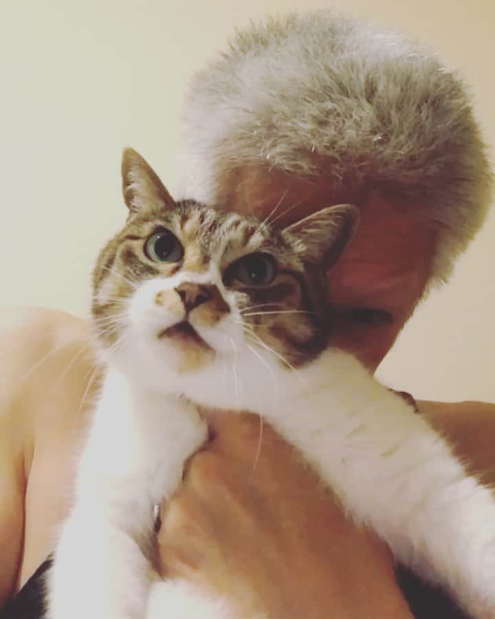 イマイアキノブのインスタグラム：「🥀さっき 猛烈に嬉しいことが起きたので もう寝ます おやすみ  #imaiakinobu  #イマイアキノブ」