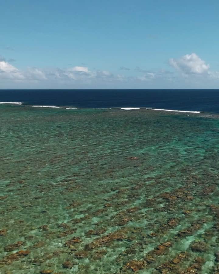 Thomas Peschakのインスタグラム：「As a photographer I have spent 20 years working with environmental groups to help drive conservation change, but I rarely engage with commercial enterprises. However, some businesses are essential allies in solving many of our most pressing marine conservation issues.  Today I am excited to announce that I am partnering with @lamer as a #BlueHeartAmbassador ! I am hopeful that my photographs and stories will engage a new audience to help us protect marine ecosystems and species.   Together with @ayanaeliza and @pcousteau I will be advising @lamer on how they can best continue their ocean conservation efforts and support critical environmental projects around the world.  Please follow @lamer and join us on this journey #LaMerBlueHeart #LaMer」