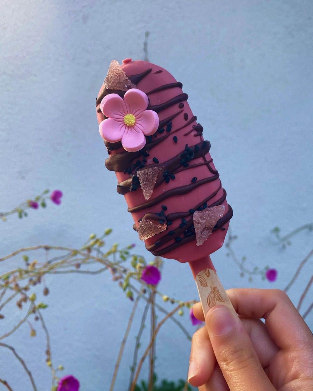 Halseyさんのインスタグラム写真 - (HalseyInstagram)「I combined my art and kitchen skills and designed this special bar for @Magnum Ice Cream using dark chocolate drizzles, black sesame seeds, candy flowers, pink jellies & Magnum Ruby. Make your own and tag @Magnum #MagnumxHalsey #TrueToPleasure so I can see ! 🌸🍦😋」7月22日 1時02分 - iamhalsey