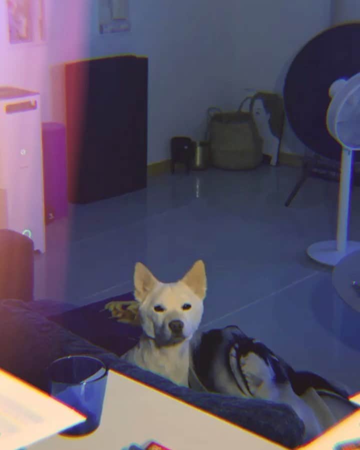 のインスタグラム：「한창 예쁘더니 오늘은 잘생겼네💙」