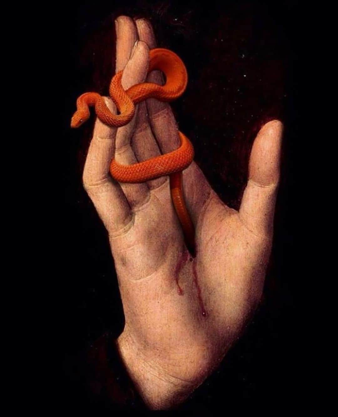 フリーダ・グスタフソンのインスタグラム：「obessed with this painting by the incredible flemish 15th centry painter hans memling 🧡 ~ ~  via @thibautmathieuad」