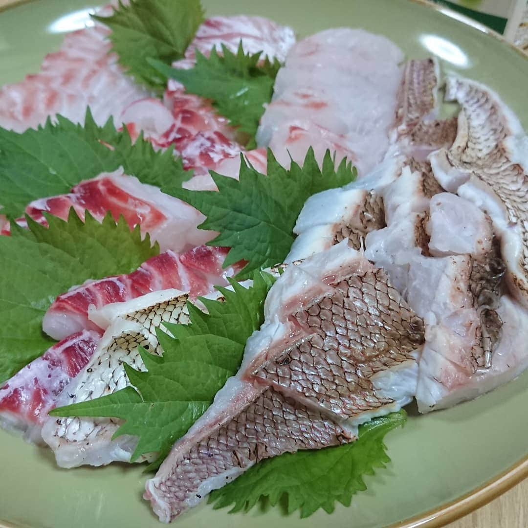 佐藤大さんのインスタグラム写真 - (佐藤大Instagram)「コチと鯛の刺身が本当に美味かったよ。。先日の思い出。 #鯛はなんにしても美味い」7月22日 17時09分 - satodaidaidai