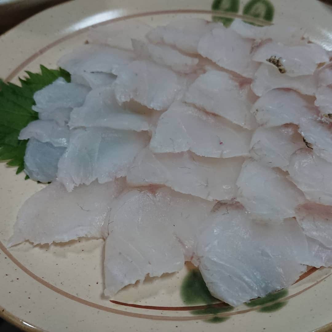 佐藤大さんのインスタグラム写真 - (佐藤大Instagram)「コチと鯛の刺身が本当に美味かったよ。。先日の思い出。 #鯛はなんにしても美味い」7月22日 17時09分 - satodaidaidai