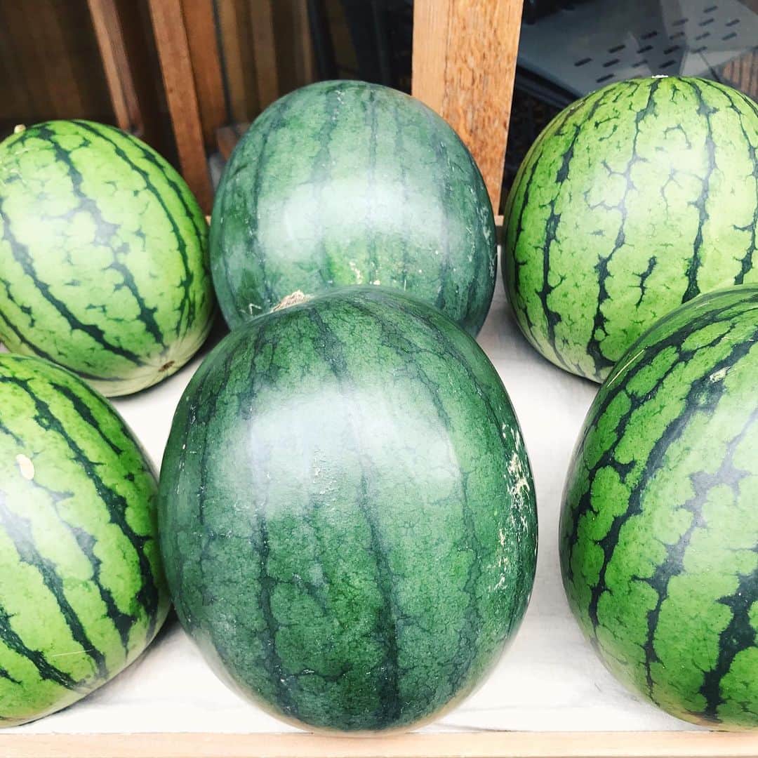 FOOD&COMPANYさんのインスタグラム写真 - (FOOD&COMPANYInstagram)「【学大店&湘南店】 ひかりれんこんの新ものが入荷しました！シャキシャキでみずみずしく、店頭でも早速リピーターの方々にご好評いただいています。﻿ ﻿ 新れんこんはアクが少ないので、薄くスライスしてサッと茹でた『刺身れんこん』がおすすめ。また厚切りにしてじっくり焼いた『れんこんステーキ』も最高です！学大店では本日22日より、湘南点では今週末24日から販売いたします。﻿ ﻿ また、スイカやトロピカルな風味がたまらないパッションフルーツなど夏らしいフルーツも入荷していますので、ぜひご賞味ください。﻿ ﻿ 皆さまのご来店お待ちしております。  #foodandcompany#フードアンドカンパニー#ひかりれんこん#パッションフルーツ」7月22日 15時51分 - foodandcompany_grocery