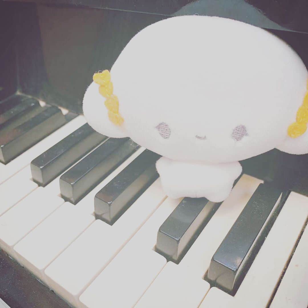 こぎみゅん（サンリオ）のインスタグラム：「みゅん･･  みんな、最近バタバタして 投稿とめちゃっててごめんみゅん･･ これからは投稿したいときに お届けするみゅん･･！   最近は、お歌の練習がんばってるみゅん！ こむぎこのうた、 またみんなの前で歌える日までに 上達していたいみゅん･･♪  #サンリオ #キャラクター #小麦粉の妖精 #こぎみゅん #sanrio #character #cogimyun #こぎこぎみゅんみゅんみゅん」