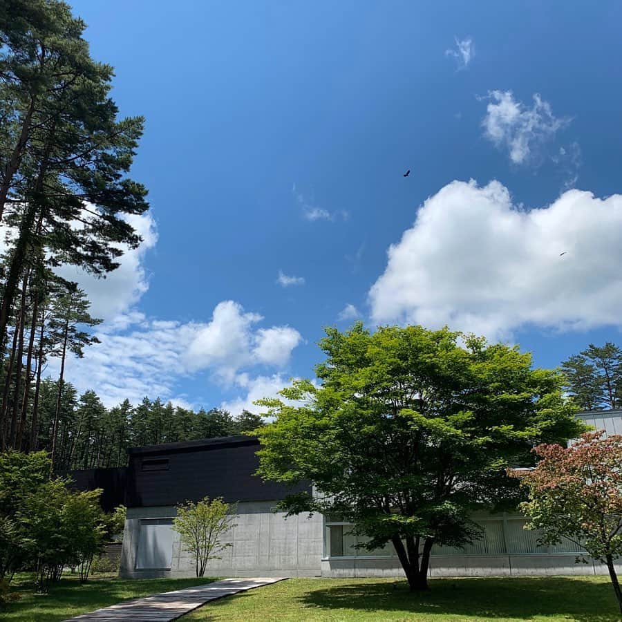 松山油脂さんのインスタグラム写真 - (松山油脂Instagram)「梅雨の晴れ間。富士河口湖工場から青々とした空が見えました。梅雨明けが待ち遠しいこの頃です。#松山油脂 #matsuyama #富士河口湖工場」7月22日 8時34分 - matsuyama_official