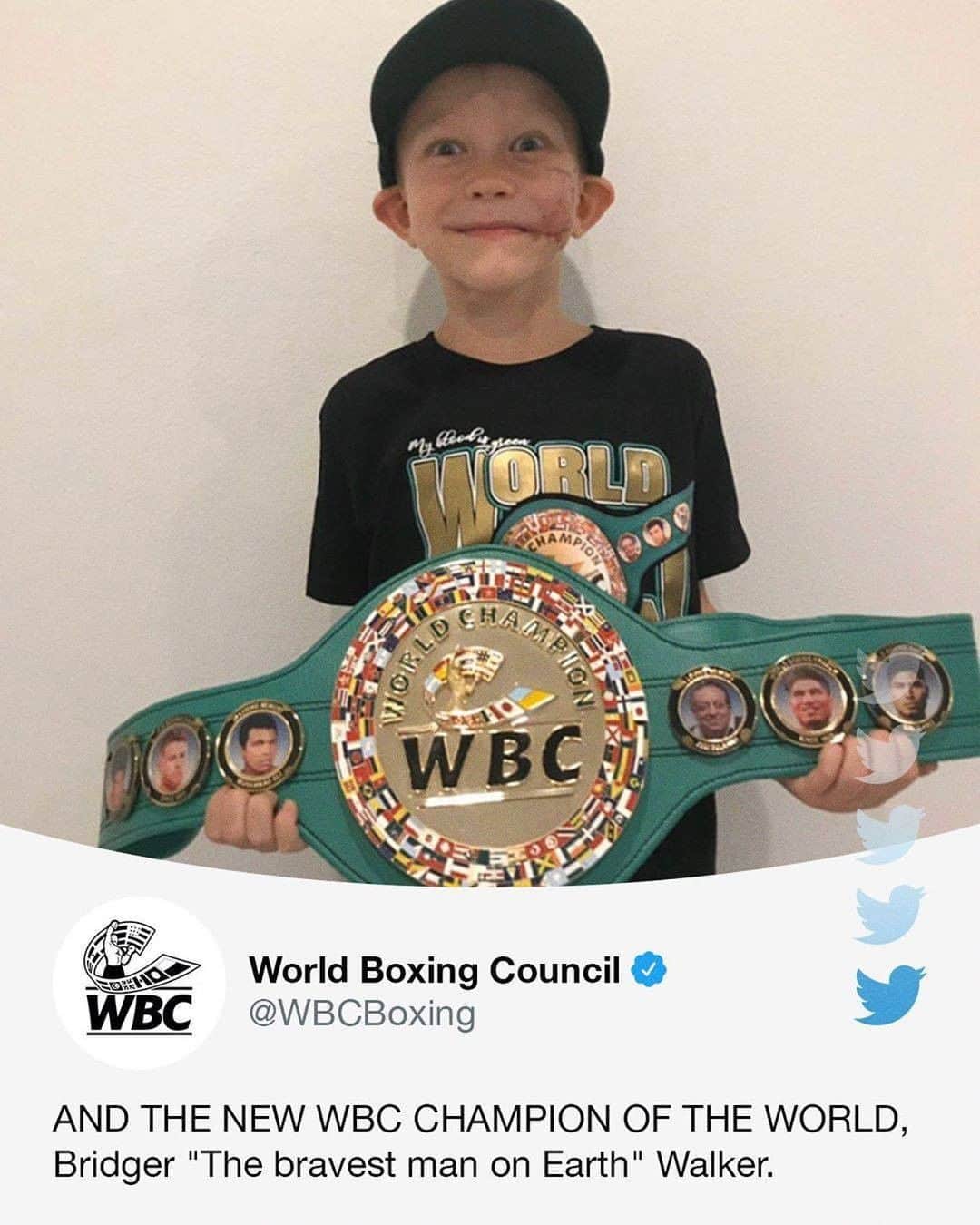 espnさんのインスタグラム写真 - (espnInstagram)「Six-year-old Bridger Walker, who risked his life to save his little sister from a dog attack, is now an honorary WBC champion!(via @espnringside)」7月22日 8時47分 - espn
