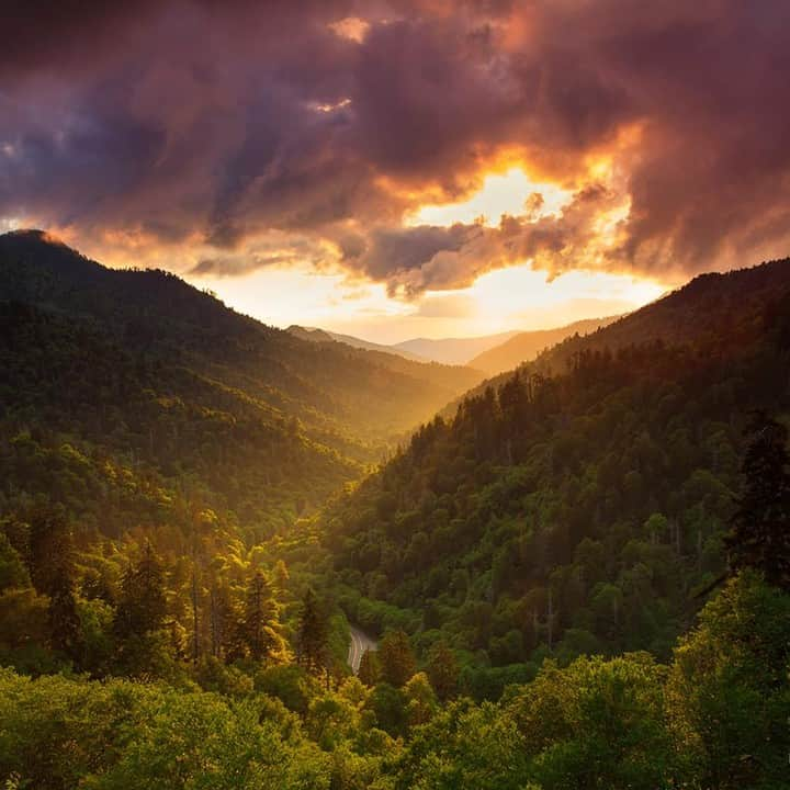 アメリカ内務省さんのインスタグラム写真 - (アメリカ内務省Instagram)「The verdant forests of Great Smoky Mountains #NationalPark shimmer in rich greens and golden light. At Morton Overlook in #Tennessee, the mountains angle down, creating a dramatic visual path to another gorgeous #sunset. The summer sounds of insects, birds and frogs rise as the light fades. Soon the stars will be out. Every moment in the park is a chance to appreciate your connection to nature and the generations of people who have shared this wonderful feeling. Photo @GreatSmokyNPS courtesy of Jackie Novak. #GreatSmokyMountains #usinterior」7月22日 9時10分 - usinterior