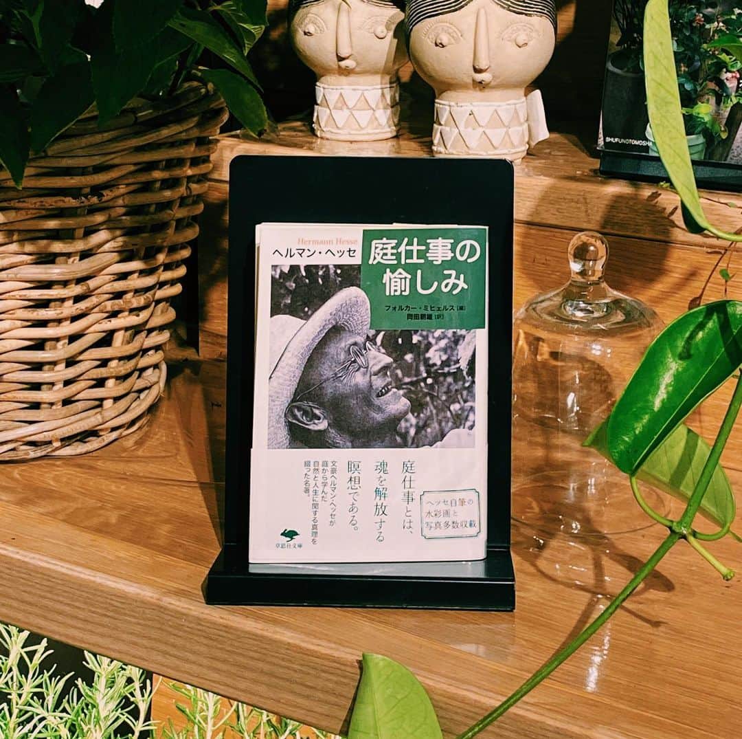 柏の葉 T-SITEのグルメインスタ