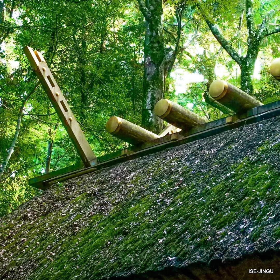 伊勢神宮さんのインスタグラム写真 - (伊勢神宮Instagram)「#伊勢神宮 #神宮 #神社 #心のふるさと #内宮 #御稲御倉 #所管社 #神宮125社 #萱葺屋根 #ISEJINGU #JINGU #SOUL_of_JAPAN #japan #jinja #shinto #naiku #mishineno_mikura #thatchedroof」7月22日 11時00分 - isejingu.official