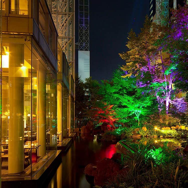The Westin Osaka （ウェスティンホテル大阪）さんのインスタグラム写真 - (The Westin Osaka （ウェスティンホテル大阪）Instagram)「レストラン「アマデウス」では、金土日・祝日限定でディナーブッフェを開催中！ 3フロア吹き抜けのアトリウム空間で、幻想的にライトアップされた森を背景に、ディナーをお楽しみいただけます。 （屋内なので天気の心配もなく、快適な空間でお過ごしいただけます。 もちろん、安心してお召し上がりいただける対策もとっております。）   メインディッシュには、大人気の「リブロースグリル（食べ放題）【+1,500円】」もお選びいただけます。   ————————————————— #金土日祝日限定 #アマデウス #ディナー #eatup #ディナーブッフェ #スムージー #サラダマルシェ #ビーフストロガノフ #アマデウスを食べつくせ #リブロース #食べ放題 #バイキング #ブッフェ #ビュッフェ #ビアガーデン #ビアテラス #アーバンリゾート #ホテル #大阪 #グルメ #グルメ大阪 ————————————————— Tag @westinosaka to share your image with us. #WestinOsaka #ウェスティンホテル大阪」7月22日 11時46分 - westinosaka