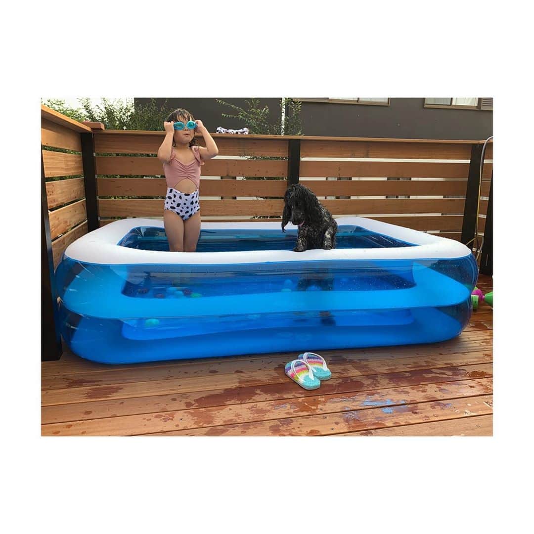 平中克幸のインスタグラム：「. 急に☀️だので急いでプールに水入れて プールに入る娘達🧒🐶 . . 次女は習い事の水泳から帰ってくるなり また着替えてプールへダイブ笑 . . 🐶はずっと吠えるから入れてやりました。 . . #おうちプール  #犬のいる暮らし  #イングリッシュコッカースパニエル」