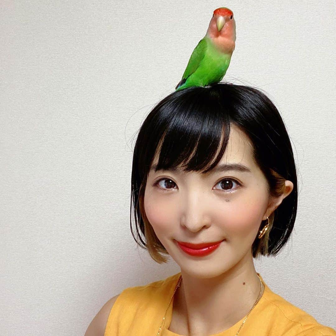 新田朝子のインスタグラム