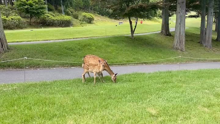 セキユウティンのグルメインスタ