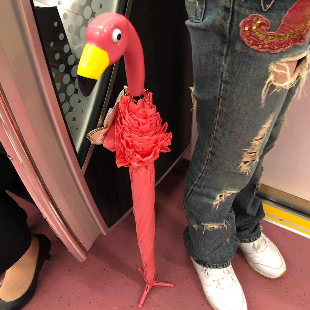 与座よしあきのインスタグラム：「‪ワイフの買った自立式フラミンゴ傘ちょー可愛い。‬ ‪しかも千円！！‬」