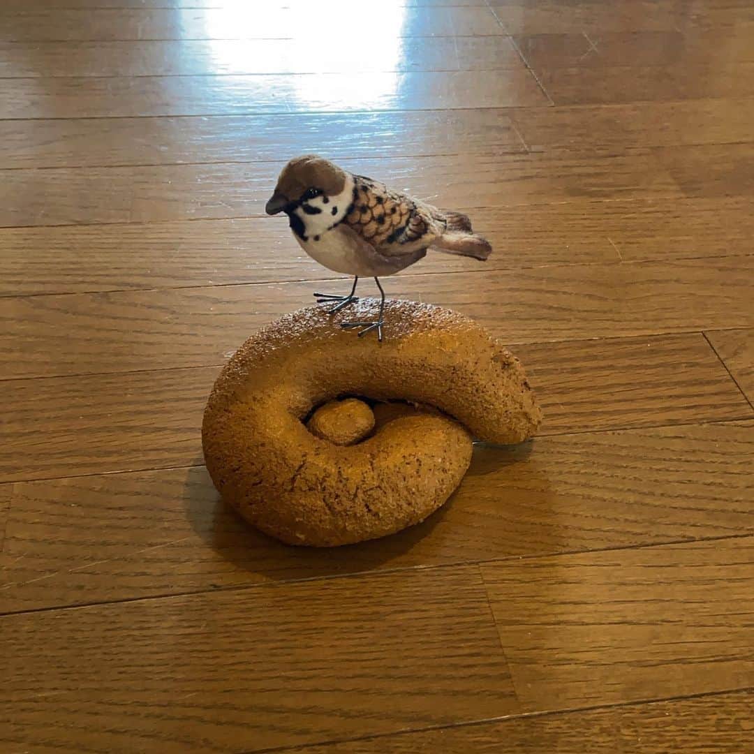 KEN KAGAMIさんのインスタグラム写真 - (KEN KAGAMIInstagram)「Sparrow with poop  2020」7月22日 14時23分 - kenkagami