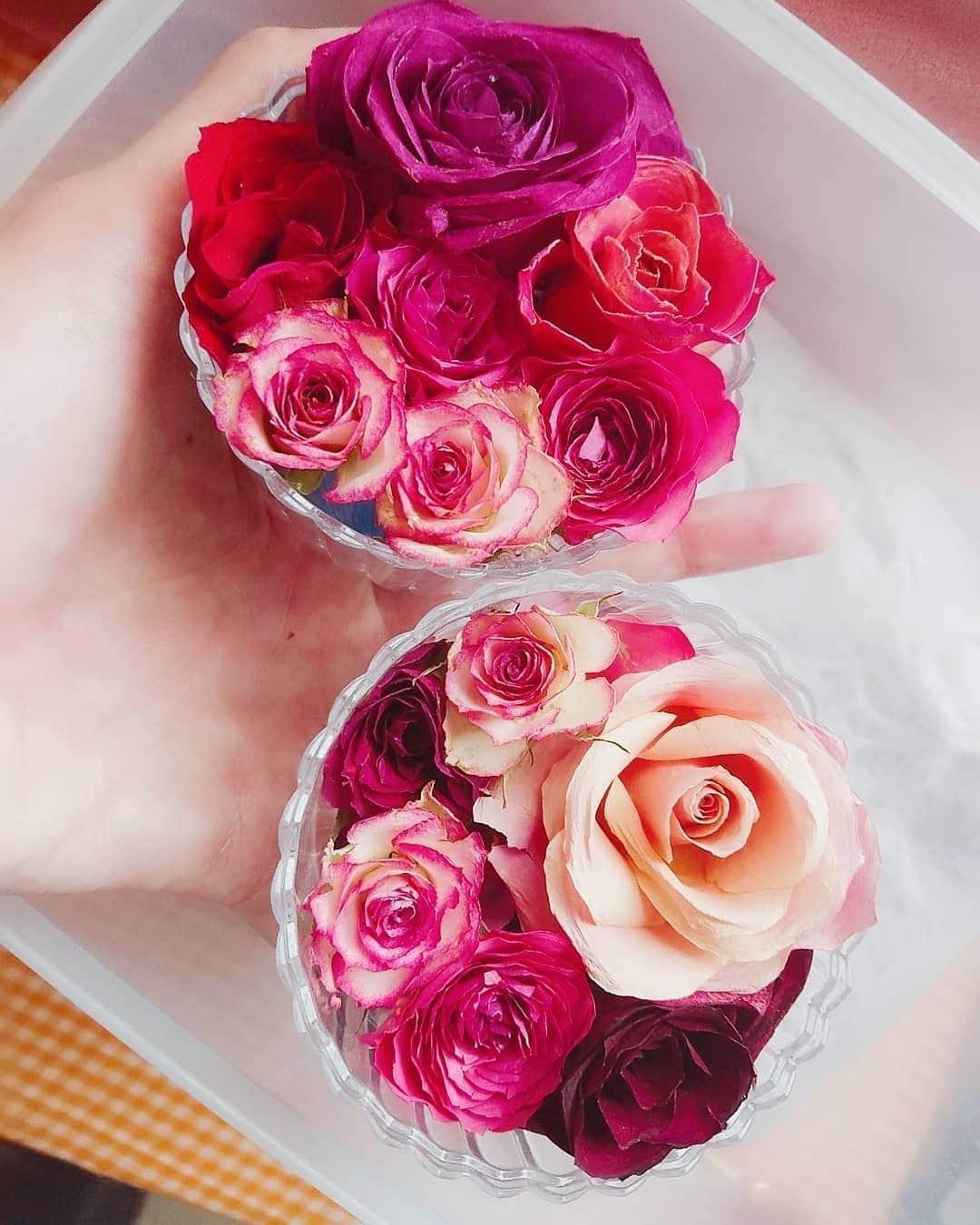 足立玲菜さんのインスタグラム写真 - (足立玲菜Instagram)「作ったポプリの色が抜けてたので、ストックしてあったお花で新調🌹 やっぱり色があると元気がもらえる🌼 ストックがなくなってしまったのでまたお花買ってきたら早めに乾燥させよ✨ 乾燥剤から発掘する時がとても楽しいのよ…綺麗にできてるとめっちゃ嬉しい😊🌹  #ポプリ #薔薇 #ドライフラワー #rose #flower #pourrire #pot #driedflowers #色がある生活  #鮮やかな花 #鮮やかな色 #可愛いもの #可愛い花 #可愛い花が好き #花が好き」7月22日 15時10分 - reina_adachi