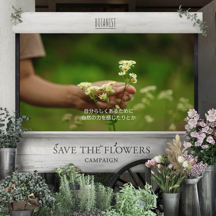 botanist officialのグルメインスタ