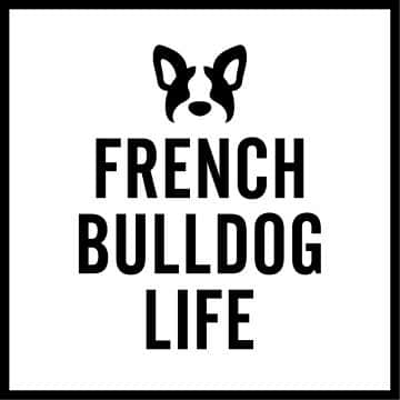 French Bulldog Lifeさんのインスタグラム写真 - (French Bulldog LifeInstagram)「【更新：サーバー復旧のお知らせ】 * サーバー障害によりアクセス不具合が発生しておりましたが、無事復旧いたしました。 * 皆さまにはご迷惑とご心配をおかけして、大変申し訳ございませんでした。 * 今後とも、French Bulldog Lifeをどうぞよろしくお願い申し上げます。 * ［7/22（水）16:03 French Bulldog Life編集部］ * ------------------- 【サーバー障害発生に伴うアクセス不具合のお知らせ】 * いつもFrench Bulldog Lifeをご愛読いただき、誠にありがとうございます。 * 2020年7月22日（水）15:25現在、サーバーに障害が発生したため、サイトが閲覧できない状況となっております。 * 読者の皆さまには、多大なるご迷惑とご心配をおかけしておりますこと、深くお詫び致します。 * 復旧次第、こちらのInstagramアカウントにてお知らせ致しますので、お待ち頂ければ幸いでございます。 * ［French Bulldog Life編集部］」7月22日 15時33分 - french.bulldog.life