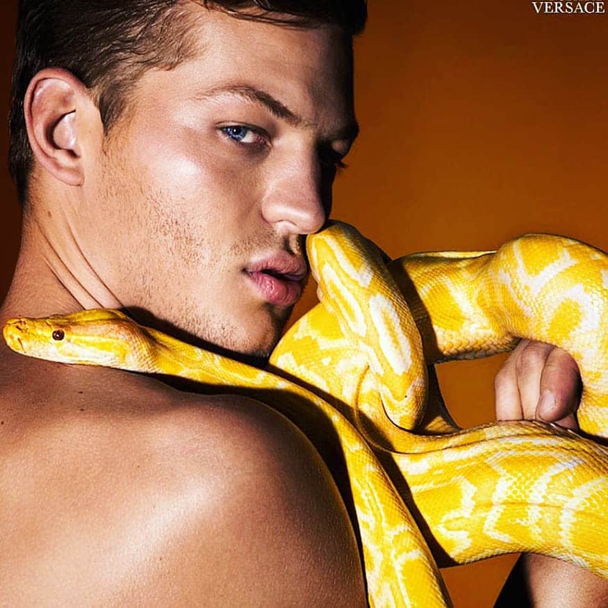 セバスティアン・ソーブのインスタグラム：「Want to pet my snake? 🐍😇」