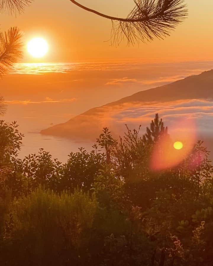 ジェラ・マリアーノのインスタグラム：「Okay I’m back.. how’s everyone holdin up? 💞 (📍Prewitt Ridge)」