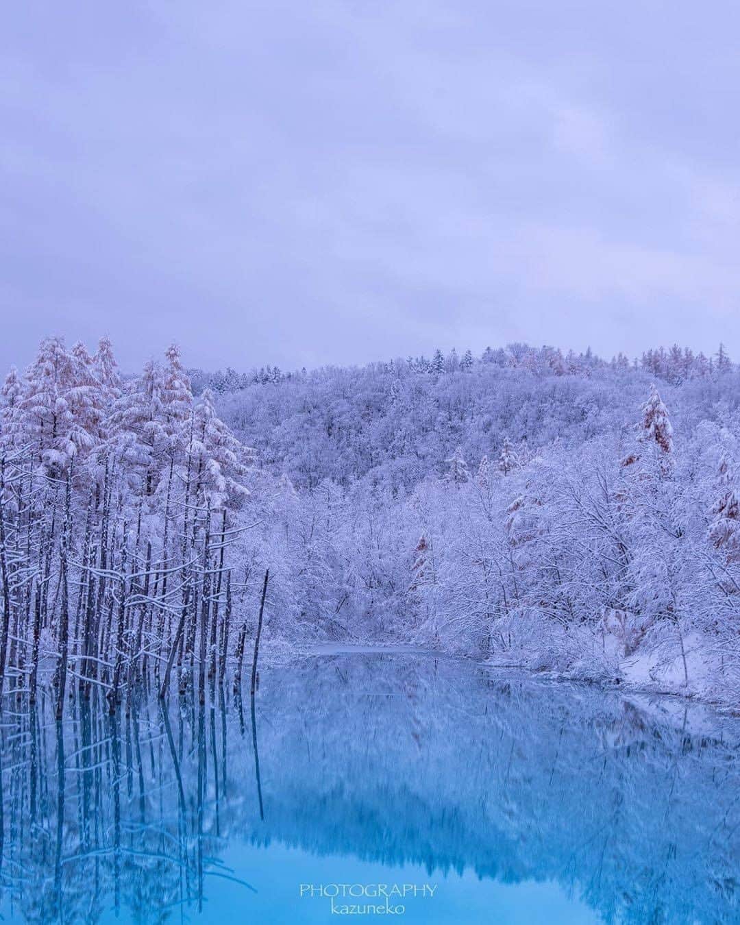 エイチ・アイ・エスのインスタグラム：「日本の写真で虹を作ろう🌈 本日は #日本の白色のセカイ より白色のお写真をご紹介♡ . 『青い池』 初雪が降り 期待して向かった青い池 目の前にはブルーとホワイトの 幻想的な世界が広がっていました。  この絶景見たさに沢山の人が 夜明け前から訪れていました。 . 📍 北海道「青い池」 📷 @2422kazuyuki < Thank you! . . ―― 日本全国の写真で虹を作ろう ―― 色とりどりの日本の写真で全国を7色で彩りませんか？ 「#日本の〇色のセカイ」 次の7色から色を選んでを投稿してね☟ 白・赤・オレンジ・黄・緑・青・紫 集まったお写真はHISの各メディアやSNSでご紹介します😃 . 見たい景色を探して、“おうちで”世界を楽しもう♪ #次はどこに行こうかな . . #北海道 #北海道旅行 #北海道観光 #青い池 #美瑛 #hokkaido #amazingview #gotoキャンペーン #gotoトラベルキャンペーン #写真好きな人と繋がりたい #ファインダー越しの私の世界 #誰かに見せたい風景 #絶景 #世界遺産 #死ぬまでに行きたい世界の絶景 #instatravel #instapassport #instatraveling #travelgram #lovetravel #traveljapan #lovers_nippon #japan #photooftheday #japantrip #japantravel #japan」