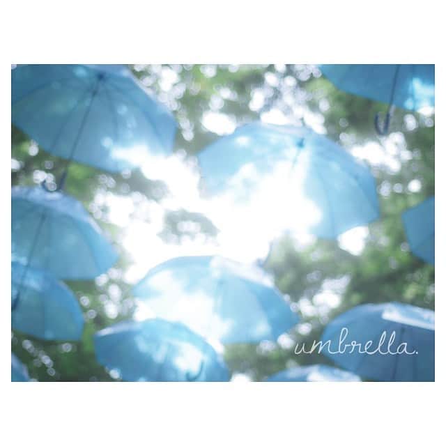 江嶋綾恵梨さんのインスタグラム写真 - (江嶋綾恵梨Instagram)「#アンブレラフォトコン ☂️ 今日の作品から1枚だけお届け☺︎ 写真展に向けて、セレクト頑張るぞ〜。ふふ #ムーミンバレーパーク #ムーミン #傘 #えじカメラ」7月22日 18時34分 - aeringoooo