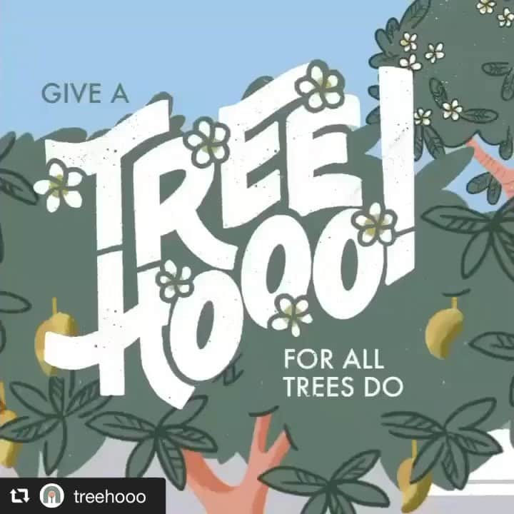 のインスタグラム：「ハワイ・オアフ島のカカアコ地区にある花屋さんPAIKO @paikohawaii が参加する失われつつあるハワイの街の木々を守るためのコミニュティプロジェクト"TREEHOOO"のためのアニメーションムービーにYOUR SONG IS GOODの"Cruise"が使用されています。ハワイには美しい木々、花々が沢山あります。直接的な参加は難しいかもですが、興味を持つことで始まる何かがあるかもしれません。ぜひご覧ください。  Thank you @alohagotsoul   #repost @treehooo via @PhotoAroundApp  Trees are the answer for cooler and happier neighborhoods. But did you know Hawaii has been losing its urban trees? Let’s fix this! If we each plant trees in our yards and communities, we’ll create a better Hawaii for everyone. Visit treehooo.org to learn more.  Animation by @adventurefunclub Music by @yoursongisgood」
