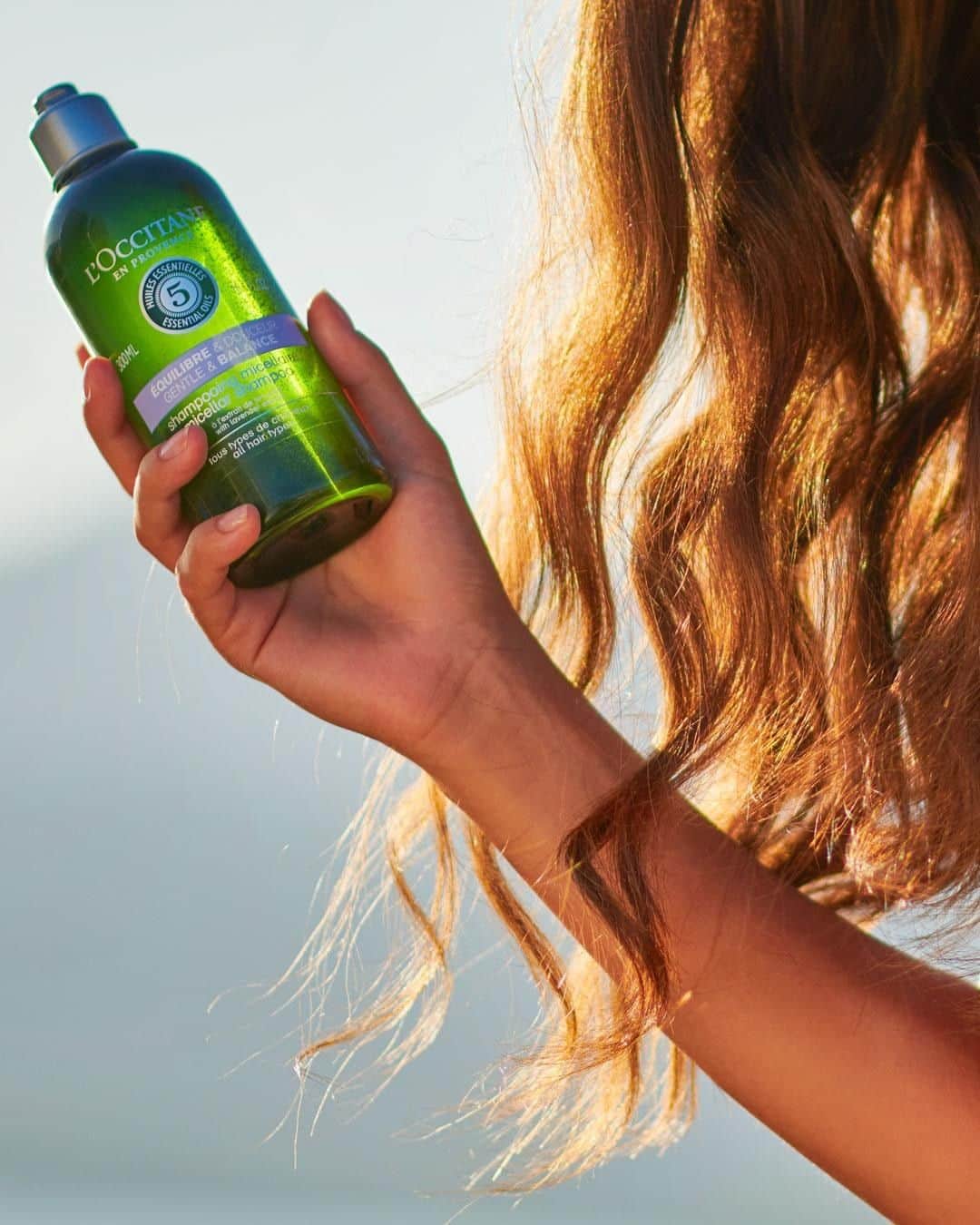 ロクシタンさんのインスタグラム写真 - (ロクシタンInstagram)「Looking for that pure, fresh summer feeling for your hair? Our Gentle & Balance Shampoo is infused with Lavender Essential Oil 💜for extra relaxation, while its gentle micellar formula leaves hair shiny, soft and supple. It's the feeling of Provence, straight to your shower 🛁 ⁣ ⁣ #LOccitane #Gentle&Balance #Shampoo #HairCare #Freshness #SummerReady #Lavender #micellar」7月22日 19時00分 - loccitane