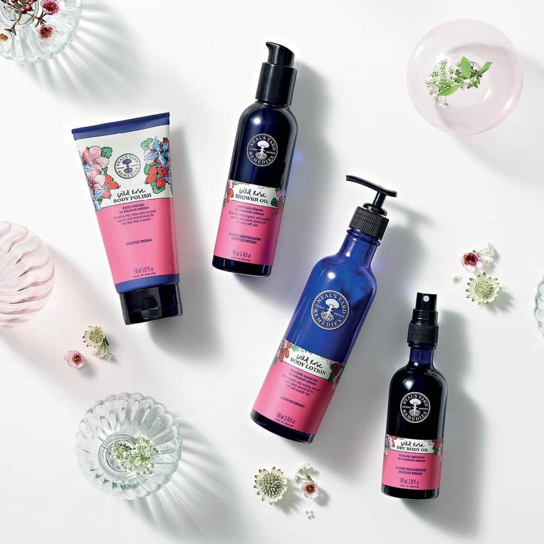 Neal's Yard Remediesさんのインスタグラム写真 - (Neal's Yard RemediesInstagram)「Wild Rose Body Collection is HERE! 🌹  Based on award-winning, cult favourite Wild Rose Beauty Balm, we’ve brought the power of provitamin-A rich organic wild rosehip seed oil to our new Wild Rose Body collection. Perfect for summer days, get your glow from head-to-toe and smell divine too – what’s not to like? ✨  💫Wild Rose Dry Body Oil... This luxurious dry body oil instantly absorbs into skin with a featherlight touch to leave skin feeling silky soft with a natural glow.  💫Wild Rose Body Polish... Our Wild Rose Body Polish gently exfoliates and nourishes for visibly radiant skin from the very first use.  💫Wild Rose Shower Oil...This beautifully scented shower oil, with organic wild rosehip seed oil and sweet almond oil to intensely nourish, will leave skin feeling soft and hydrated.  💫Wild Rose Body Lotion... Our Wild Rose Body Lotion is formulated with organic wild rosehip seed oil and sweet almond oil to intensely nourish the skin, leaving it feeling soft and smooth.  PLUS buy 2 Wild Rose Body products and receive a travel size Wild Rose Beauty Balm.」7月22日 19時15分 - nealsyardremedies