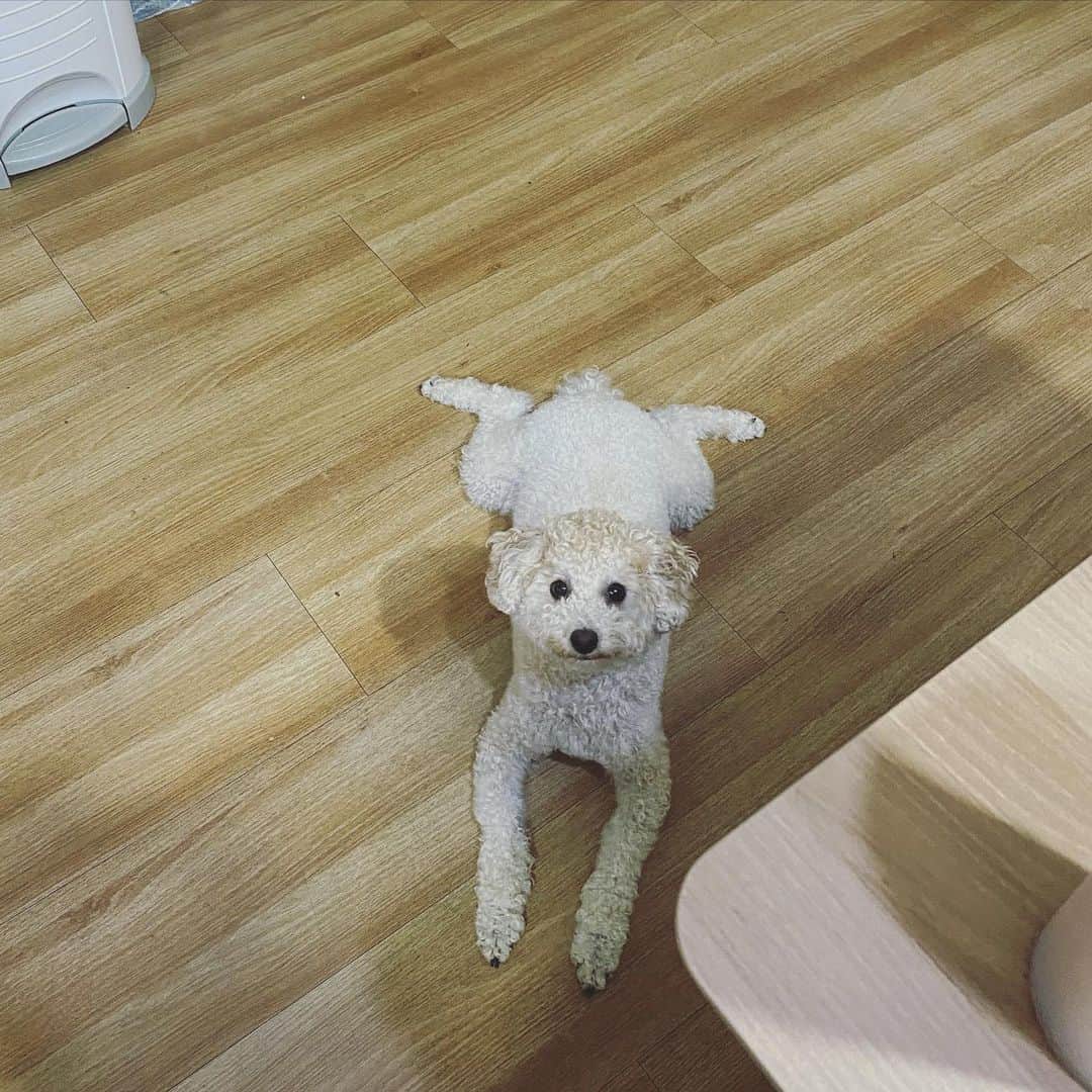 Giriboyのインスタグラム