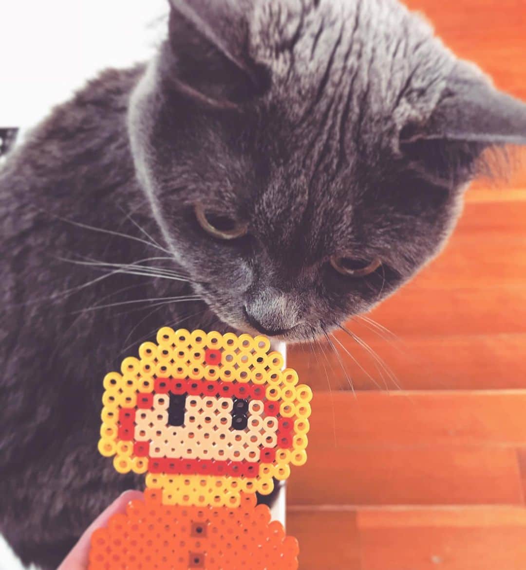 チキン南蛮カレーのルウ王子のグルメインスタ