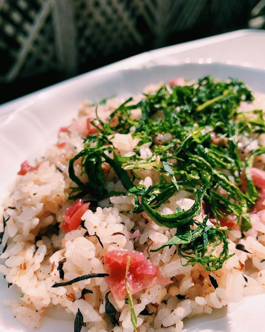 柏の葉 T-SITEのグルメインスタ