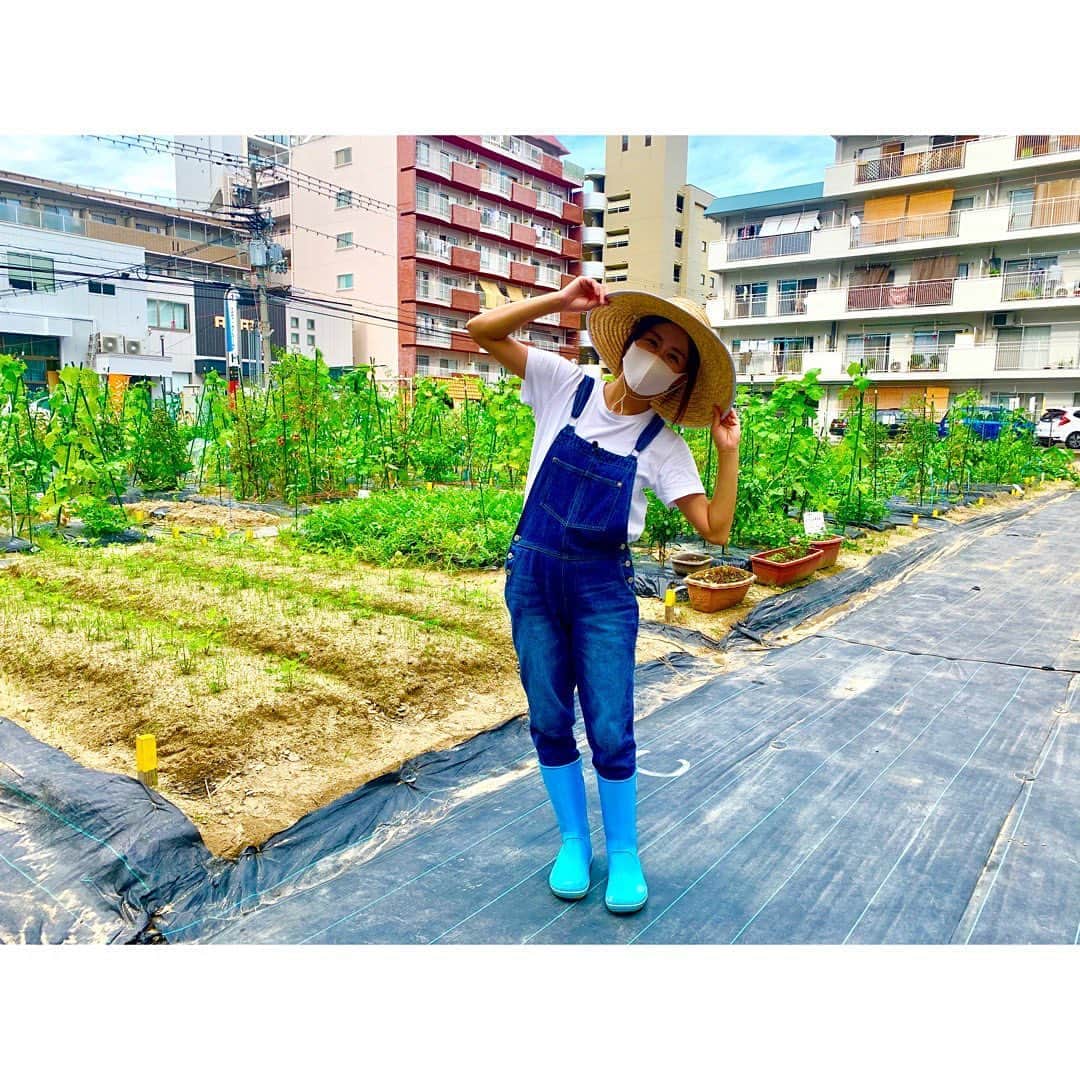 澤口実歩さんのインスタグラム写真 - (澤口実歩Instagram)「7月31日（金）放送予定のカラクリのロケで、いま注目されている「#シェア畑」を取材しました！１つの畑を、みんなでシェアする。手ぶらでも通える畑。みなさんご存知ですか？？　 実際に畑をシェアされている方にもたくさんお話をうかがってきました！ そして、気合いの入ったこの服装で、畑を耕してきました！！　#農業　#農業女子　#畑　#手軽に　#気軽に　#獲れたて野菜　#かんさい情報ネットten. #3密対策 #コロナに負けない　#趣味」7月22日 20時14分 - miho_sawaguchi