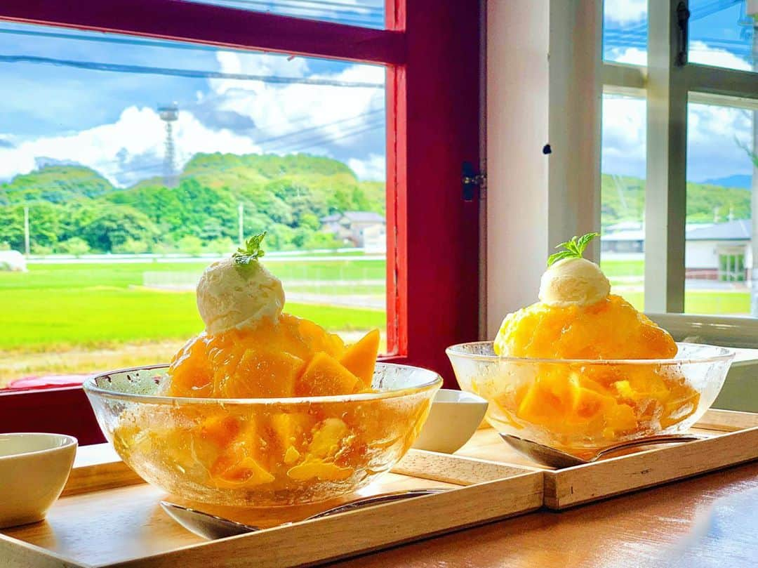 秋丸美帆さんのインスタグラム写真 - (秋丸美帆Instagram)「夏はやっぱりマンゴー🥭😋 . #mango #sweets #icecream #shaveice #itoshima #fukuoka  #かき氷 #マンゴー #福岡 #糸島」7月22日 20時17分 - mippy34