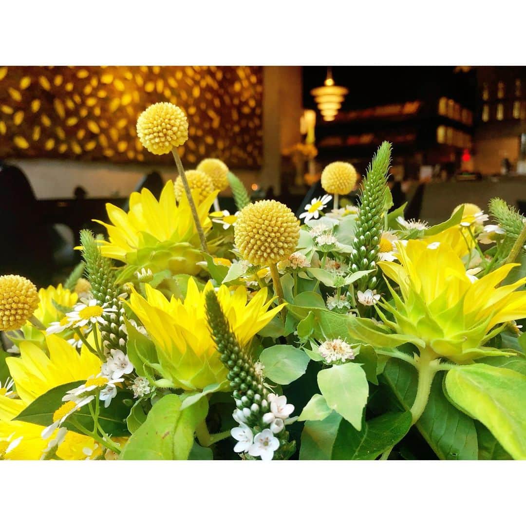 潘めぐみさんのインスタグラム写真 - (潘めぐみInstagram)「あの夏に、花束を。 . #今日の花 #yellow #黄色 #summer #夏 #flower #花」7月22日 20時21分 - han_meg_han