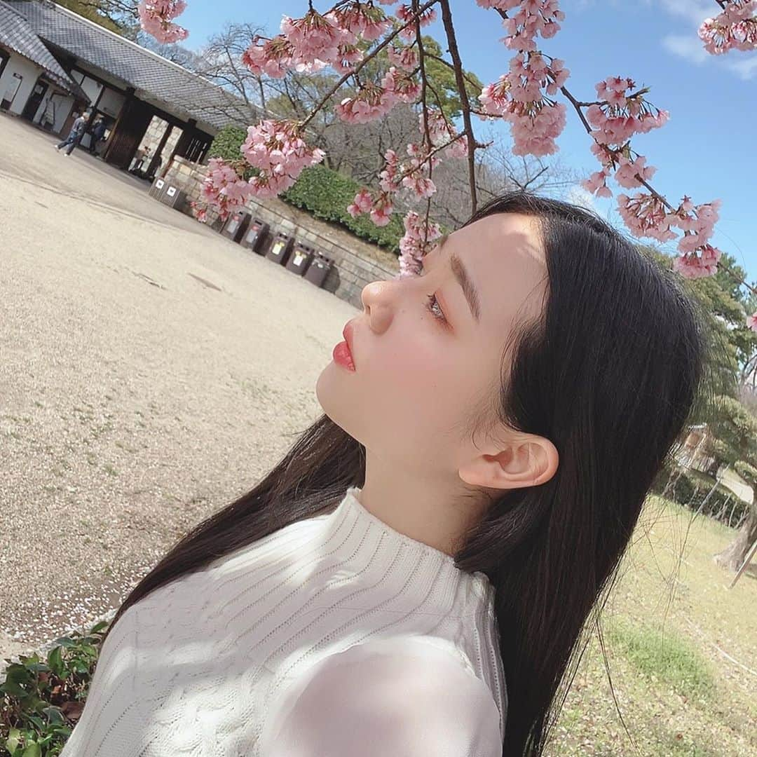 深井ねがいさんのインスタグラム写真 - (深井ねがいInstagram)「フォルダーの中で見つけた いつぞやの写真 いつ撮ったか忘れた🌸」7月22日 20時37分 - negai0116