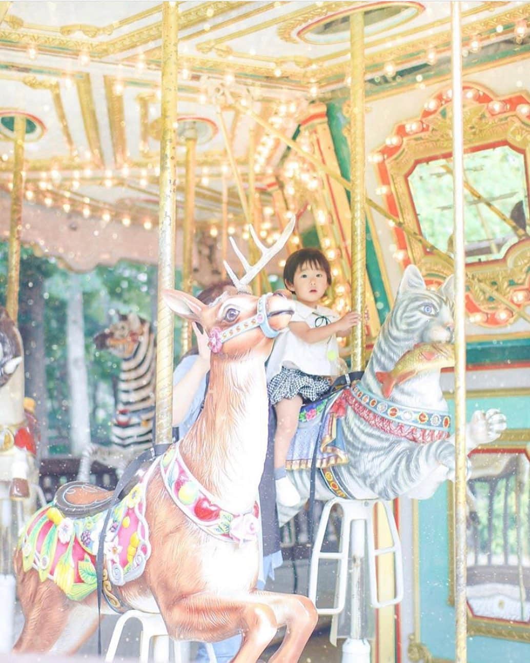 のインスタグラム：「【今日の #いこーよおでかけ部】pick up... @nontohal﻿ ━━━━━━━━━━━━━━━━━━━━━﻿ 🎠... #萌木の村﻿ 🚗...山梨県北杜市﻿ ロマンティックな雰囲気たっぷりな萌木の村のメインは「森のメリーゴーランド」！ほかにもオルゴール制作体験やガーデンキッチンもあり、充実した1日を過ごせますよ。﻿ ━━━━━━━━━━━━━━━━━━━━━﻿ ﻿ ＜faciities＞-------------------------------------------﻿ 📍萌木の村﻿ いこーよ：https://iko-yo.net/facilities/2336﻿ 住所：山梨県北杜市高根町清里3545﻿ 営業時間：10:00～17:00﻿ 料金：各施設により設定﻿ ----------------------------------------------------------﻿ ﻿  いこーよ@ikoyo_odekake では、「親子のおでかけ」に関する写真を募集しています😊お子さんとのおでかけの思い出の場所をこのアカウントをフォローの上、 #いこーよ を付けて投稿してください。魅力的な写真は、いこーよ公式SNSや、いこーよ内の記事でも紹介&使用させていただく場合がございます！ 沢山の投稿お待ちしております。﻿ ﻿ ✨募集中タグ#いこーよ﻿ ﻿ 📱子供の年齢に合ったおでかけ先が見つかる「いこーよ」公式アプリのダウンロードはAppStore 、Google Playで「いこーよ」で検索！﻿ ・﻿ ・」