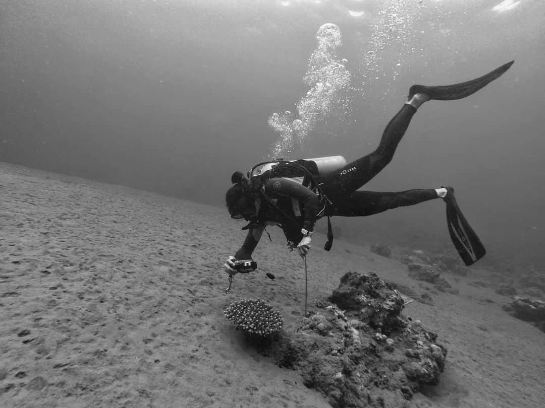 グレイシア・ポリーのインスタグラム：「Another skill that i need to learn it more often. It's underwater photography. 🤓 #2016 #fisheye」