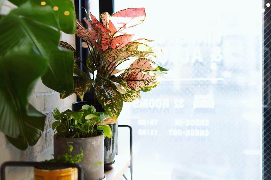 ホテルパシフィック金沢のグルメインスタ