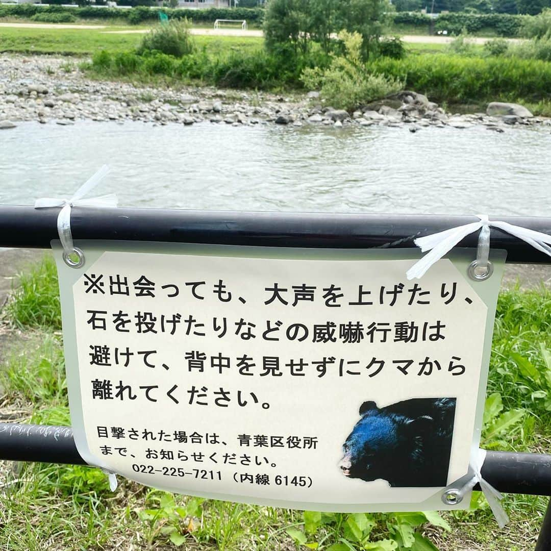 bon ponさんのインスタグラム写真 - (bon ponInstagram)「梅雨の晴れ間に、広瀬川の遊歩道を散歩して来ました🚶‍♂️🚶‍♀️ 鳥の鳴き声と時おり吹き抜ける風が心地良かったです😊😊 ＊ G.F.G.S.×bonponコラボのボーダーで。 @gfgs  bon ・帽子(ノーブランド) ・ボーダーT(G.F.G.S.×bonpon) ・パンツ(UNIQLO) ・靴(アサヒメディカルウォーク) pon ・帽子(楽天) ・ボーダーT(G.F.G.S.×bonpon) ・パンツ(楽天) ・靴(アサヒメディカルウォーク) ＊ ＊ #広瀬川散歩 #ボーダーコーデ #gfgs #夫婦 #60代 #ファッション #コーディネート #リンクコーデ #夫婦コーデ #グレイヘア #白髪 #共白髪 #couple #over60 #fashion #coordinate #instafashion #instagramjapan #greyhair #bonpon511」7月22日 21時10分 - bonpon511